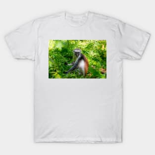 Red Colobus Monkey of Zanzibar Island, Tanzania T-Shirt